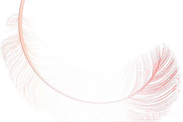 元素素材 羽毛