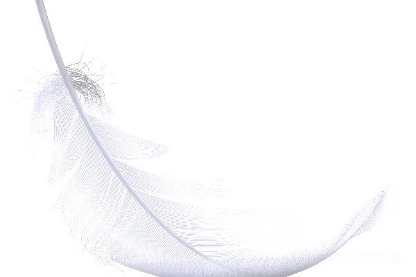 元素素材 羽毛