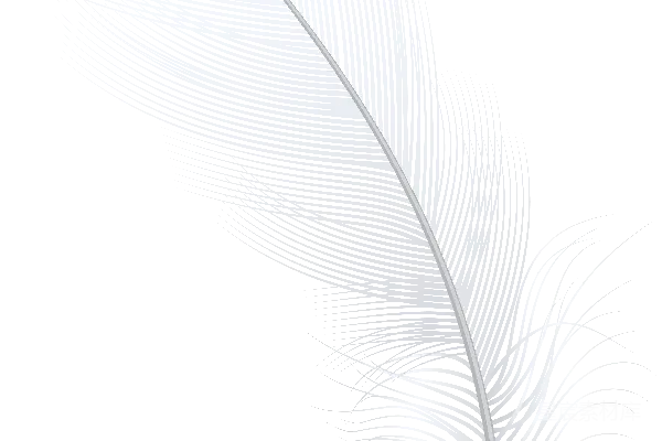 元素素材 透明的