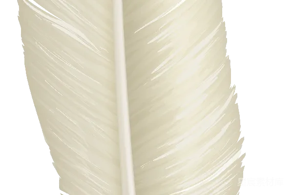 元素素材 羽毛
