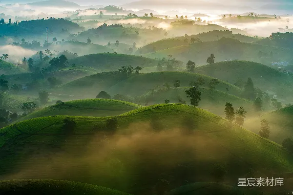 高清摄影 一个有雾的山坡地带的景象
