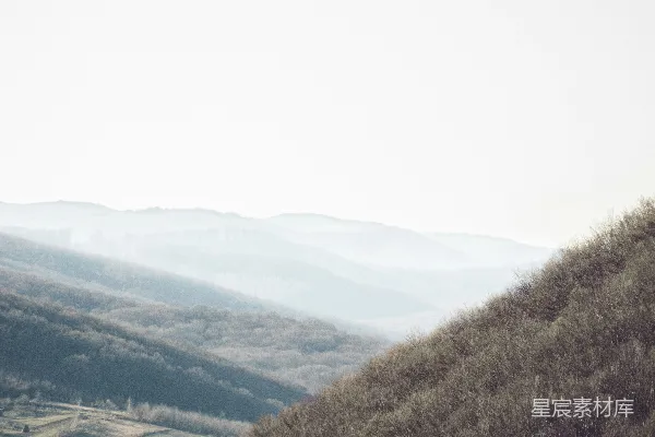 高清摄影 一头孤独的牛站在一片翠绿的山坡之上