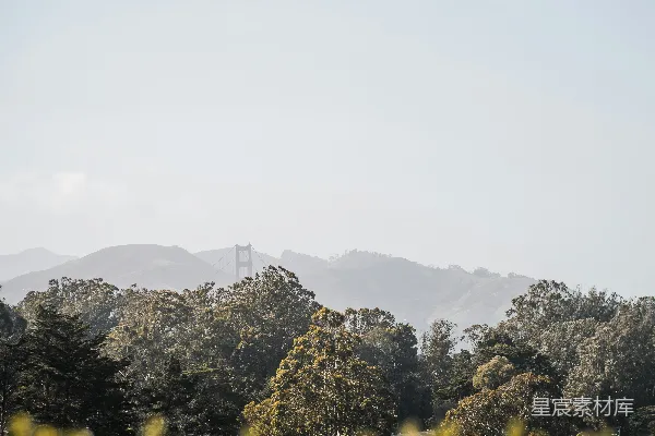 高清摄影 碧树远山青天外。