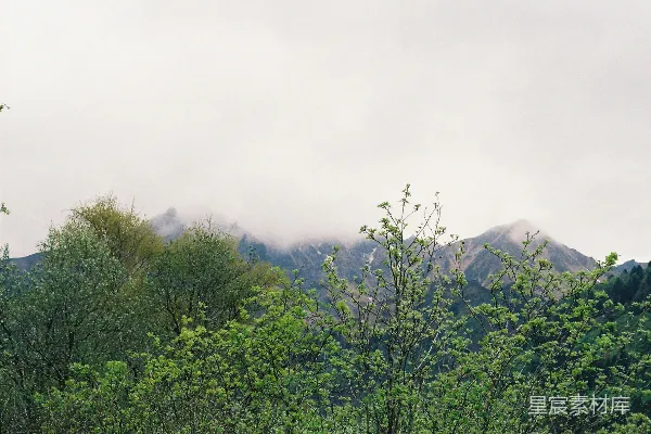 高清摄影 翠绿树木之上耸立着幽暗山脉。