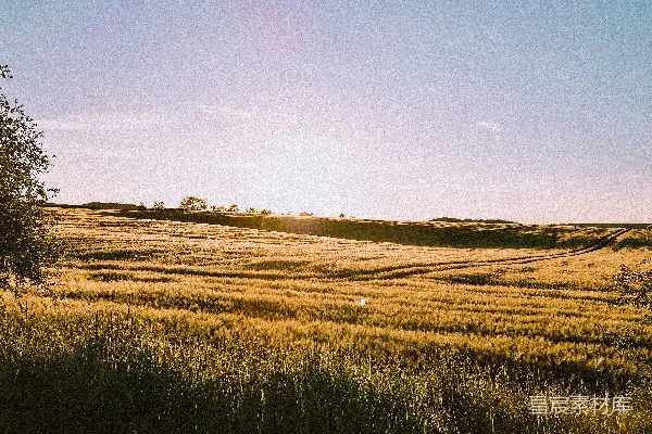 高清摄影 白天绿草地上空蓝天下
