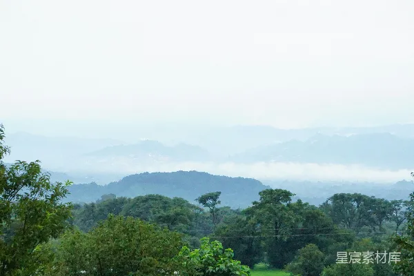 高清摄影 山中白天绿树葱茏