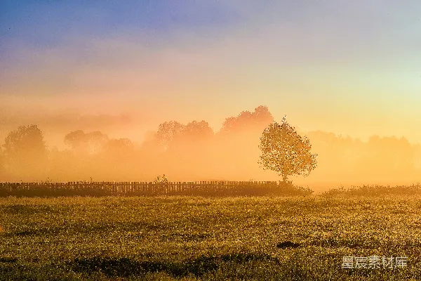 高清摄影 夕阳下的绿草 fields