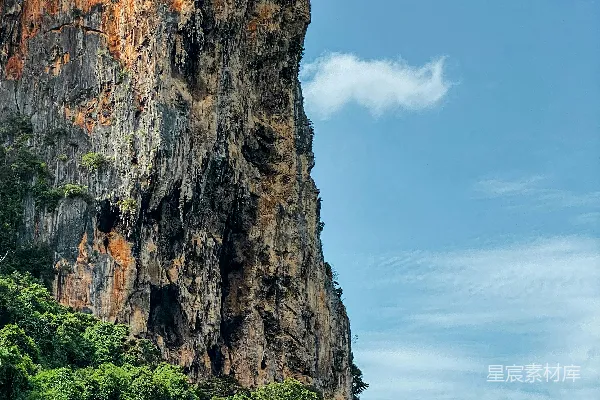 高清摄影 一棵树下的悬崖和一片水面