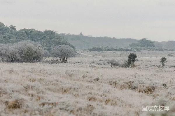 高清摄影 远处有一片雪地和树木。