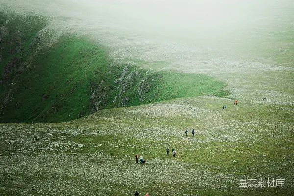 高清摄影 绿草地上的人们在白天靠近水体旁