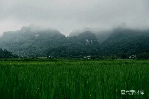 高清摄影 白天绿色草地下的白色天空