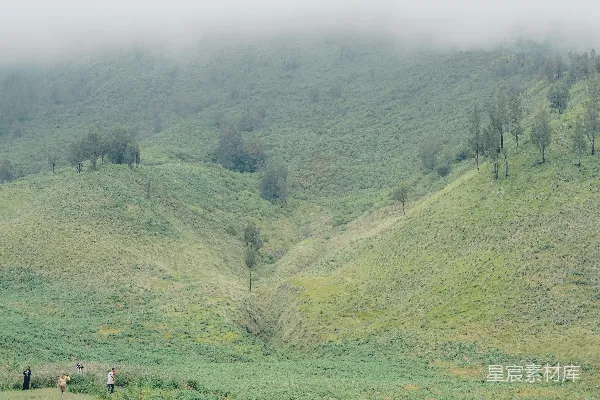 高清摄影 一群人在郁郁葱葱的山坡顶部站立。