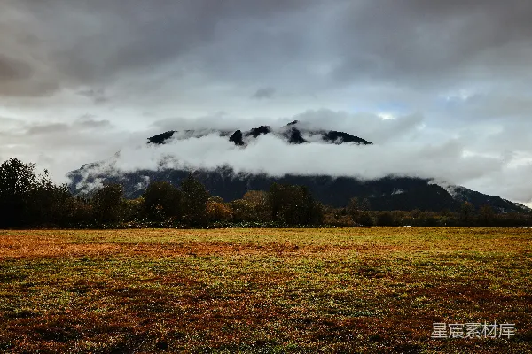 高清摄影 背景中有树木和山丘的田野