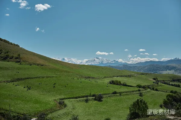 高清摄影 远处山峦下的绿色山谷美景