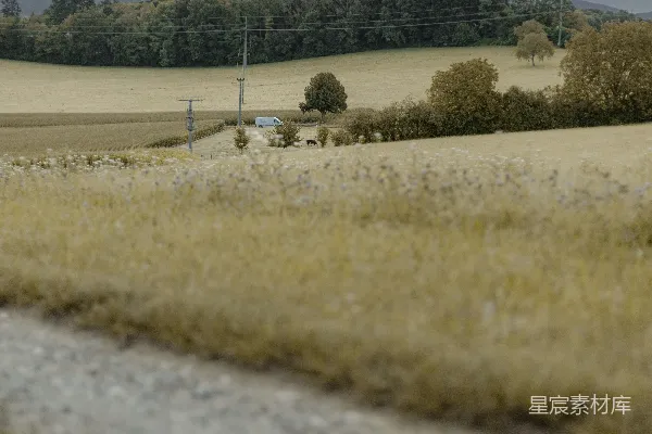 高清摄影 一条道路贯穿的一片乡村风光
