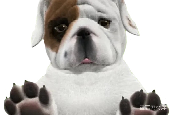 元素素材 Bulldog