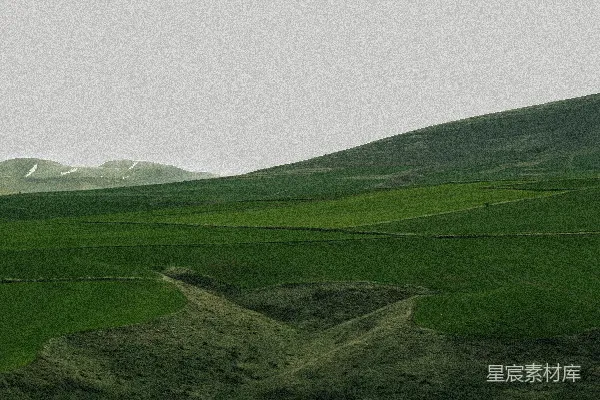 高清摄影 背景中有山的一片绿草地