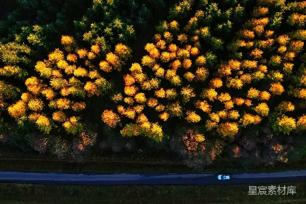 高清摄影 树丛环绕的道路的空中俯视图
