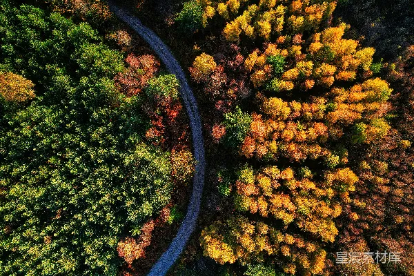 高清摄影 一条蜿蜒道路的空中俯视图，周围是树木。