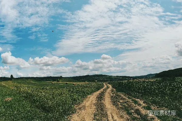 高清摄影 白天绿草地上方有蓝天白云的景象