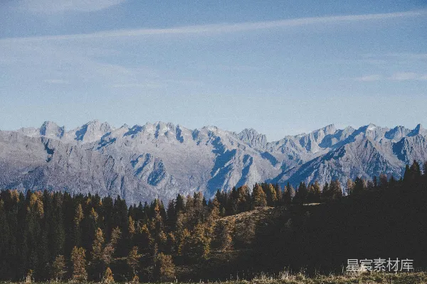 高清摄影 灰山群和棕树
