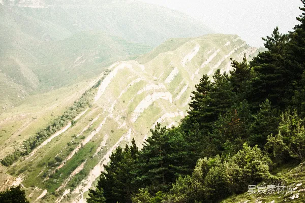 高清摄影 白天绿树与山峦
