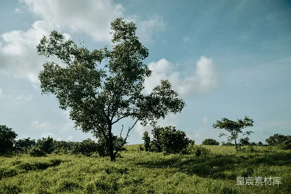 高清摄影 一片云彩覆盖的蓝天下，一座草地中的孤树。