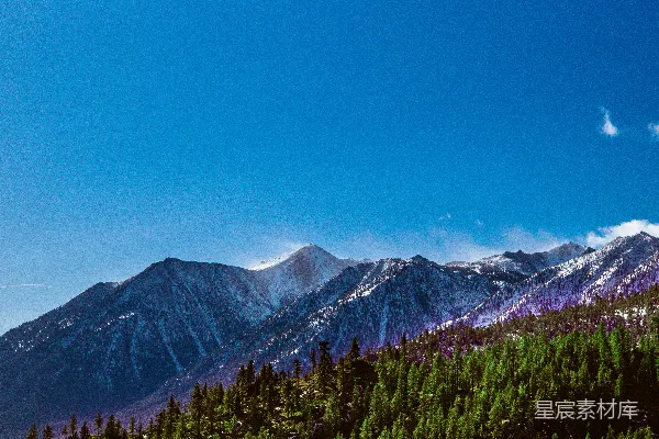 高清摄影 前景中有树木的一座山range的景象