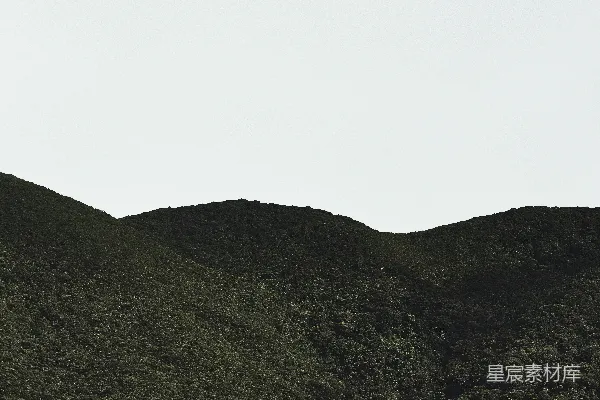 高清摄影 一只鸟飞过一片翠绿的山坡上
