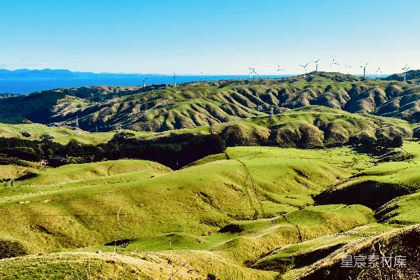 高清摄影 连绵的绿坡与远处的风车相接望向浩渺的海洋。