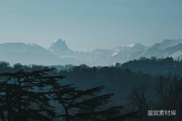 高清摄影 前景中有树木的山峦景色