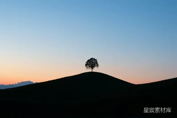 高清摄影 山顶上一棵孤树
