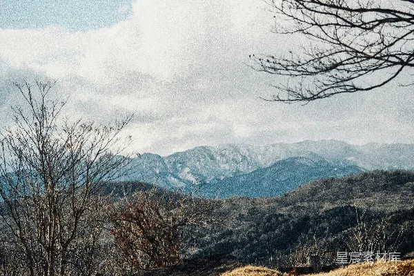 高清摄影 白天山脚下褐色草地上裸露的树木环绕着白云和蓝天之下