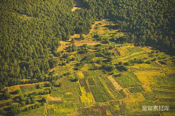 高清摄影 镶嵌在郁郁葱葱、森林环绕的山之间的 patchwork 农田。