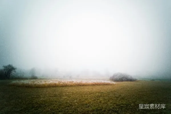 高清摄影 灰色天空下的绿草