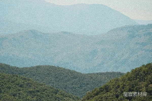高清摄影 一群羊在郁郁葱葱的山坡上吃草