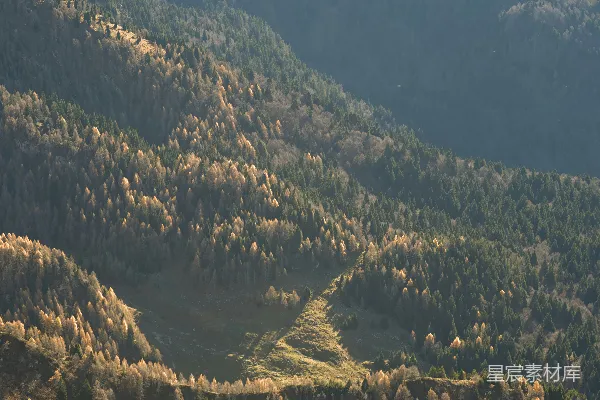 高清摄影 一架飞机飞过一片森林覆盖的山坡上空
