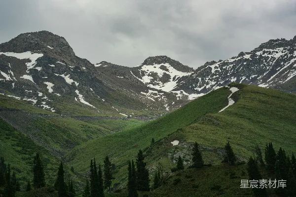 高清摄影 majestic雪山，翠绿的山坡和松树。