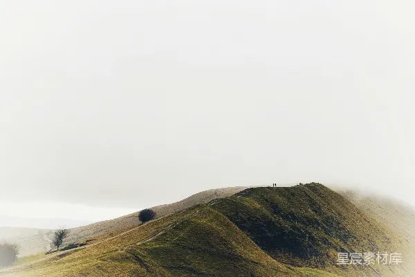 高清摄影 山顶上一棵孤树