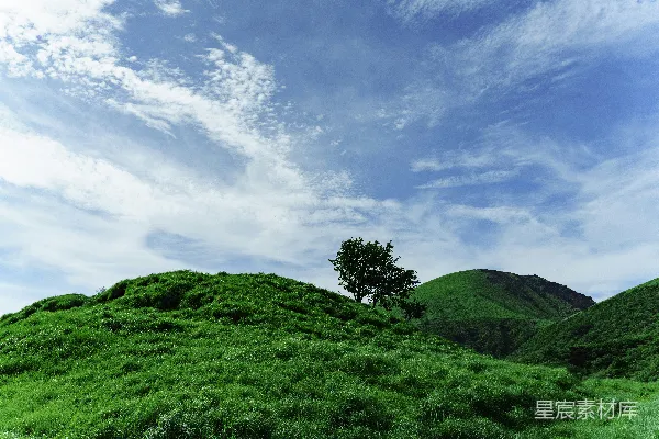 高清摄影 一片长满草的山顶有棵树的山坡