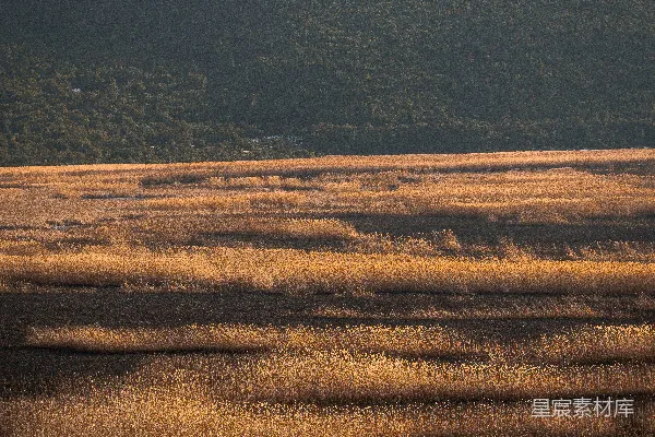 高清摄影 背景中有山的一片田野
