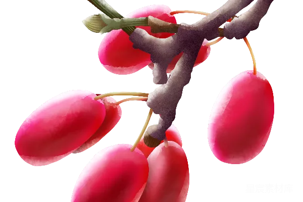 元素素材 透明的