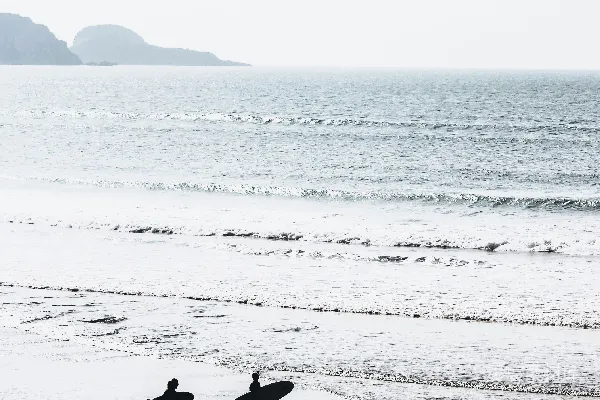 高清摄影 两个人在海滩上携带冲浪板的白天场景