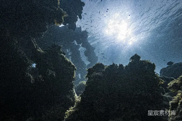 高清摄影 水下景色