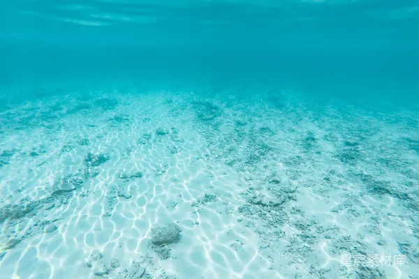 高清摄影 清澈水域的水下摄影