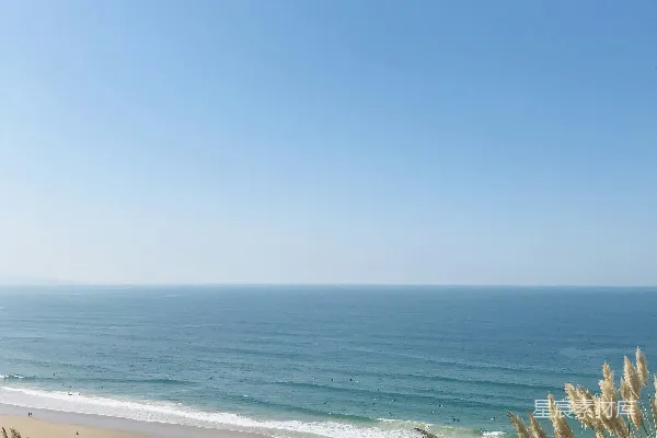 高清摄影 白天绿树蓝海蓝天附近处