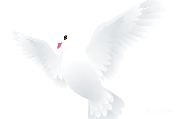 元素素材 白色
