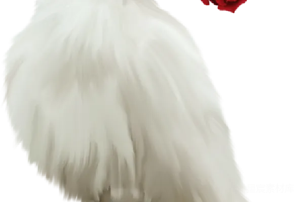 元素素材 白色