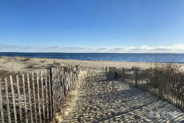 高清摄影 一条通往海滩的沙地小径，背景是海洋。