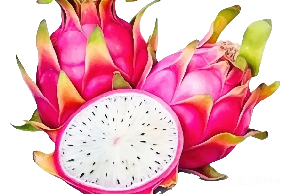 元素素材 火龙果